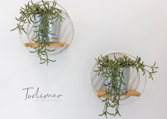 Todimer Ventana Del Mediterraneo *